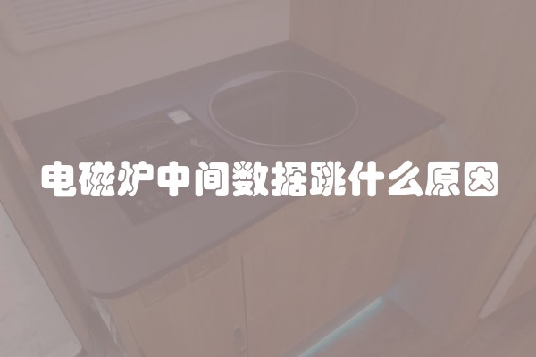 电磁炉中间数据跳什么原因