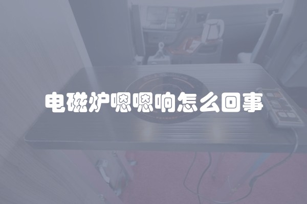 电磁炉嗯嗯响怎么回事