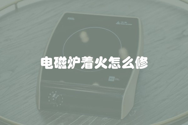 电磁炉着火怎么修