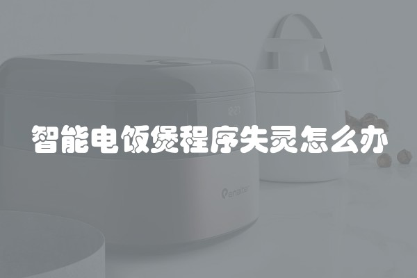 智能电饭煲程序失灵怎么办
