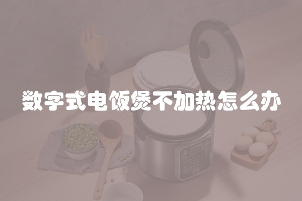 数字式电饭煲不加热怎么办