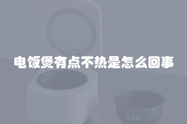 电饭煲有点不热是怎么回事