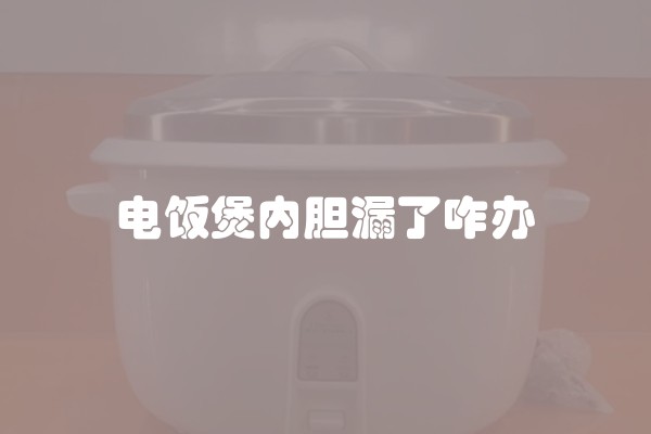 电饭煲内胆漏了咋办