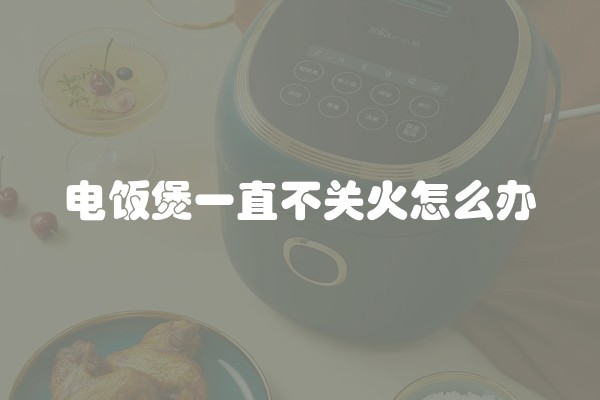 电饭煲一直不关火怎么办