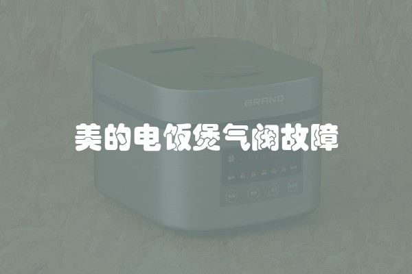 壁挂炉有水但不热怎么办