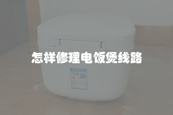 怎样修理电饭煲线路
