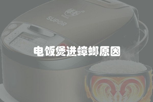 电饭煲进蟑螂原因
