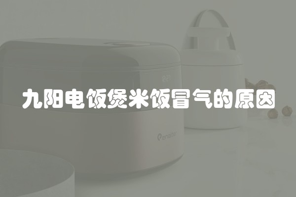 九阳电饭煲米饭冒气的原因