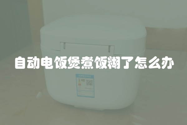 自动电饭煲煮饭糊了怎么办