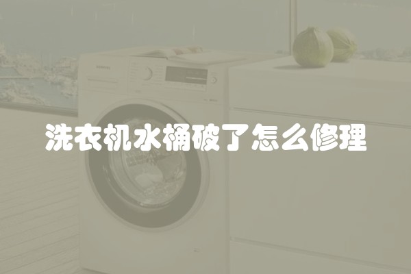 水培花卉室内装饰技巧视频