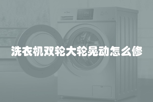 洗衣机双轮大轮晃动怎么修