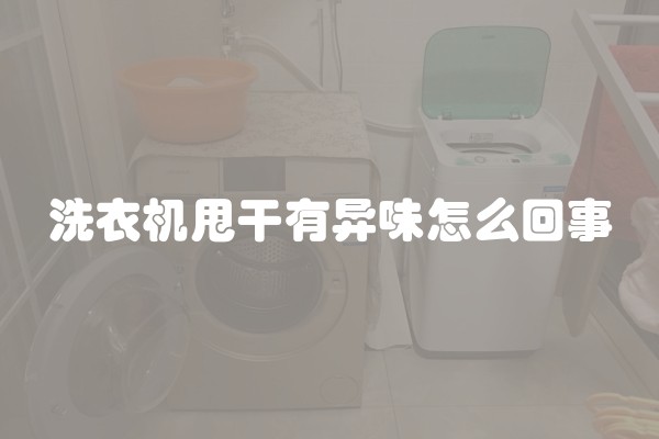 洗衣机甩干有异味怎么回事