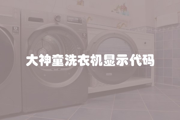 大神童洗衣机显示代码