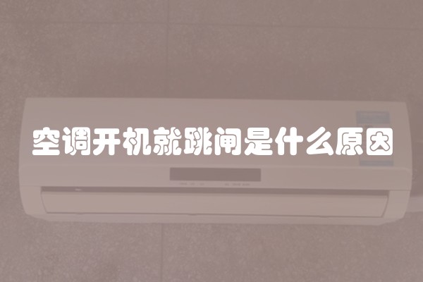 装修墙面，选什么材料好？