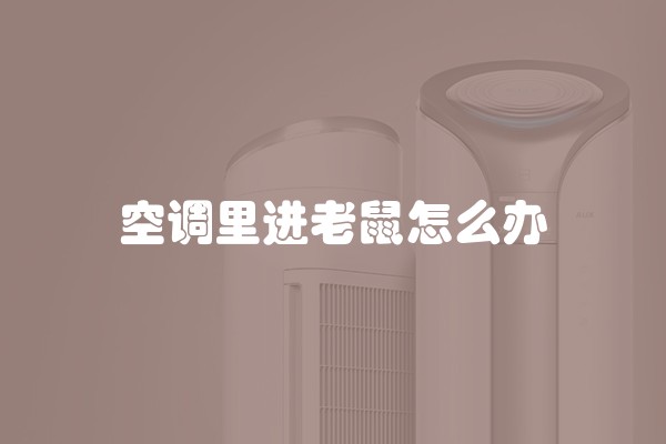 空调里进老鼠怎么办