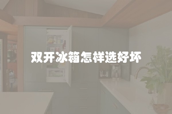 双开冰箱怎样选好坏