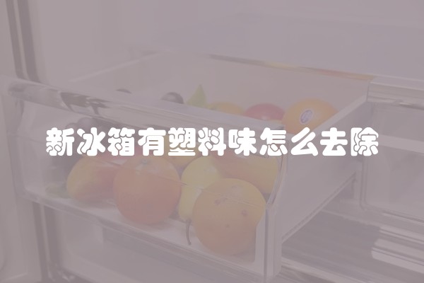 新冰箱有塑料味怎么去除