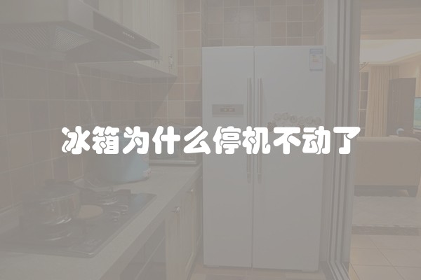 冰箱为什么停机不动了