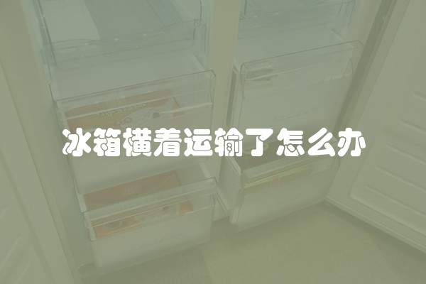 冰箱横着运输了怎么办