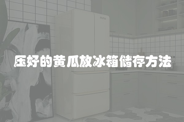 压好的黄瓜放冰箱储存方法
