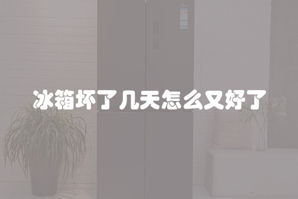 冰箱坏了几天怎么又好了