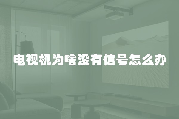 电视机为啥没有信号怎么办