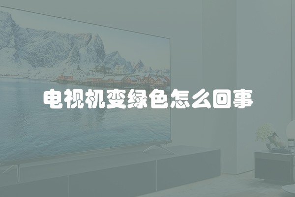 家有爱宠、敏感人士？满足各种需求的涂料大全！