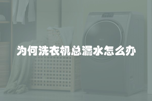为何洗衣机总漏水怎么办