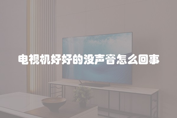 110平米房子的装修设计和技巧