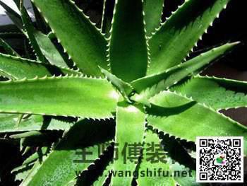 承租人装修如何处理及承租人装修如何处理违章