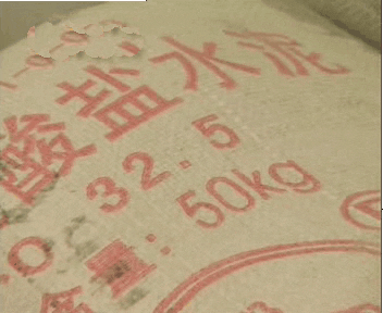 请问金钱树怎么养
