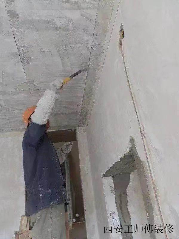 观音竹适合放卧室吗有什么说法