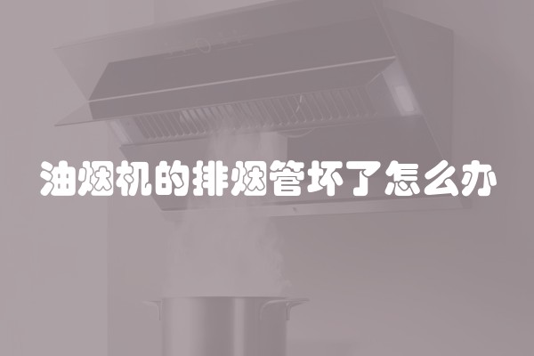 婚纱影楼装修效果图片(婚纱影楼设计方案)