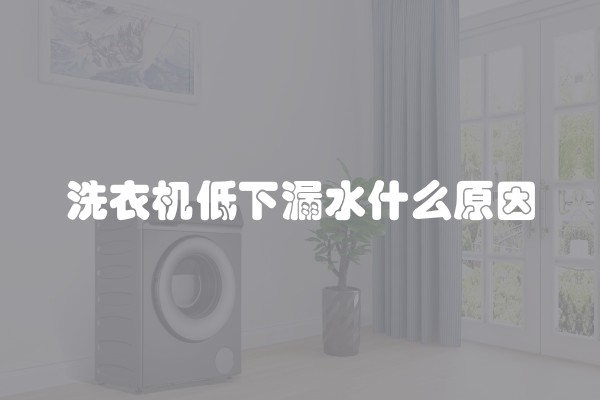 半包与全包清包(清包和半包区别)